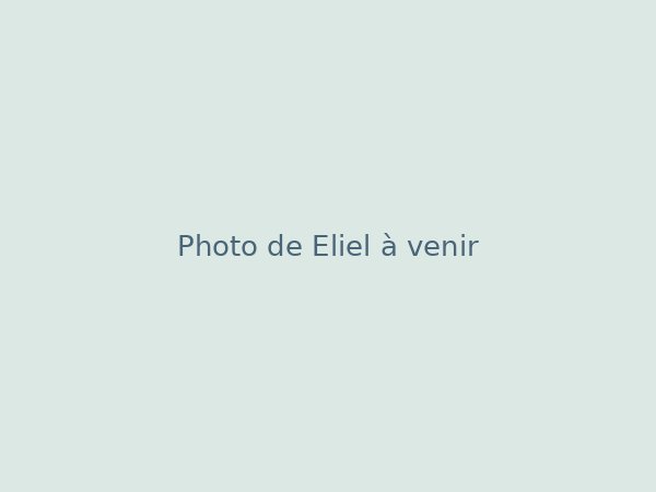 Eliel, Acquisition et marketing